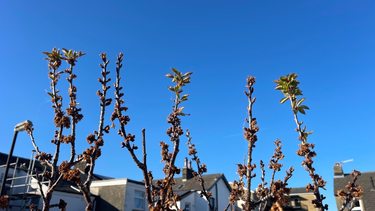 8f21d48d-8dd2-4557-9a28-49e0c561f3be