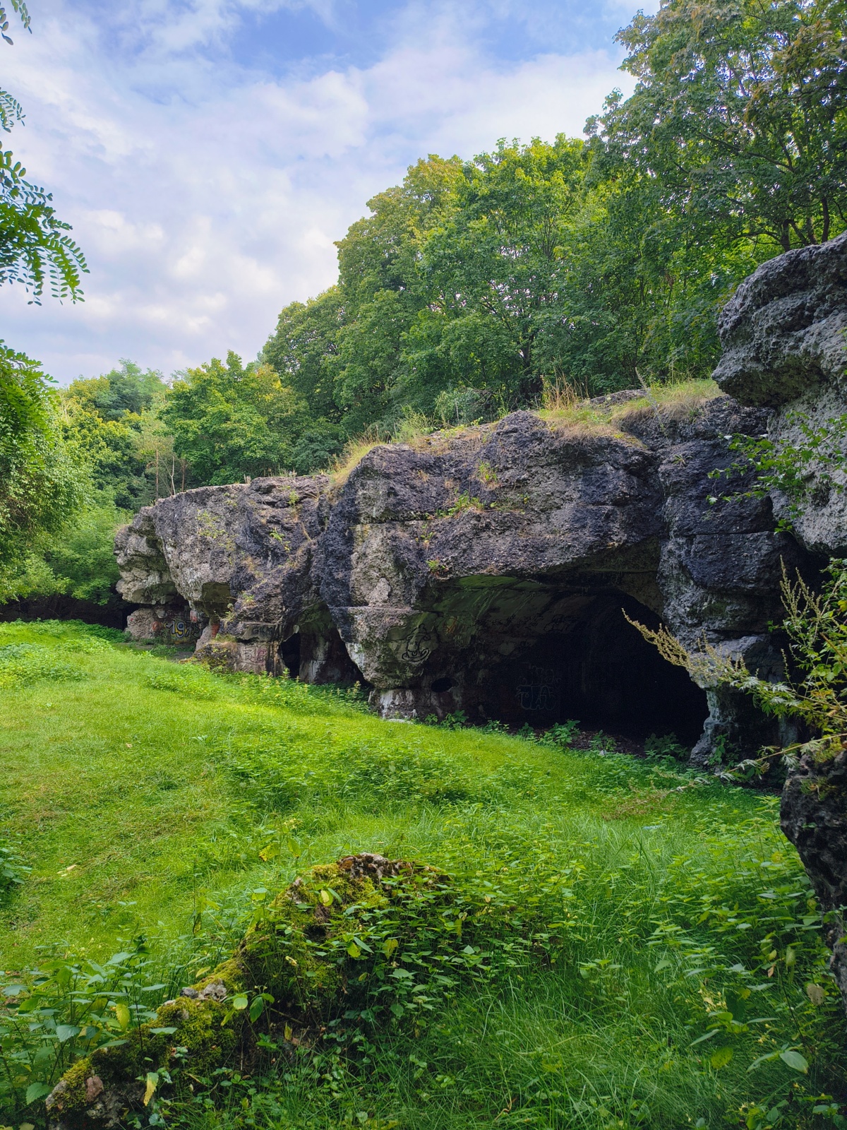 6b436c07-fadc-4924-9027-210b6c19b4b3