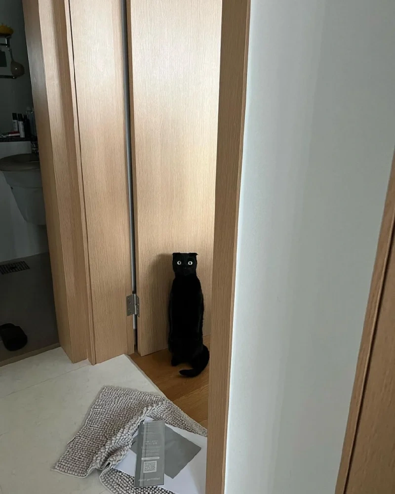 11227fa8-626b-447b-93a0-0bfe02af7407