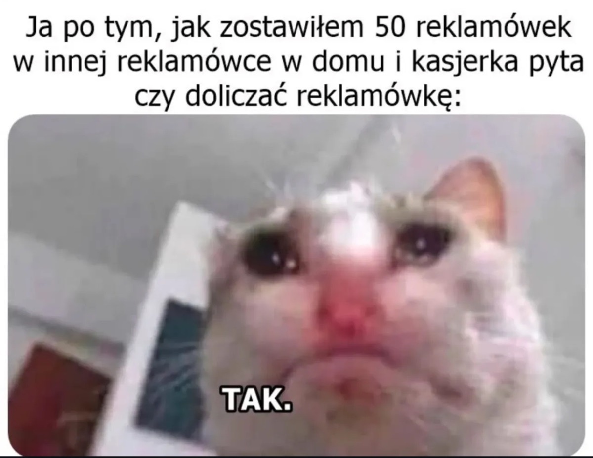 a81c484b-18b0-4641-a3d2-903a1d6d98e2