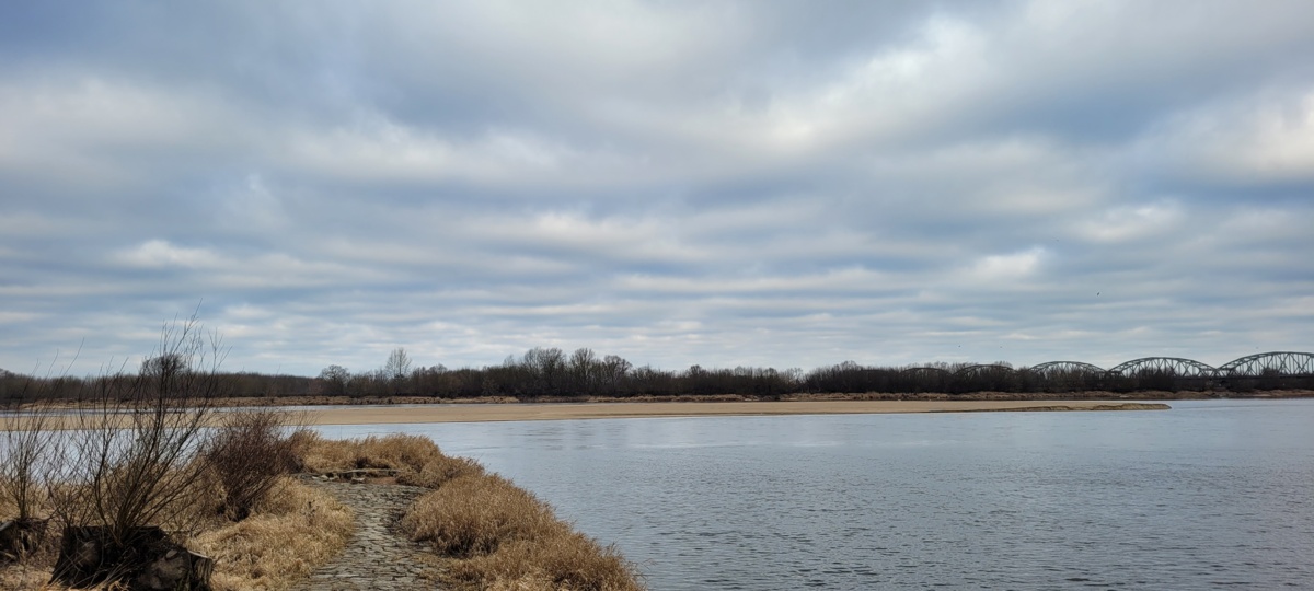 173113d7-8c52-47c5-911f-9e0c759711f3