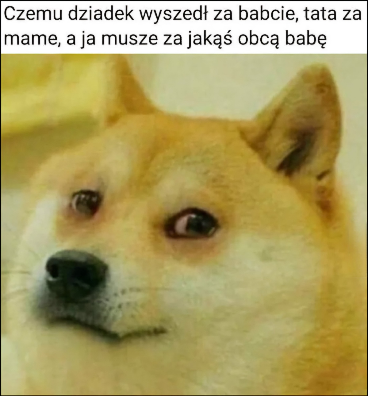 713f8edd-11f0-47d5-8f05-8d9b900221c3