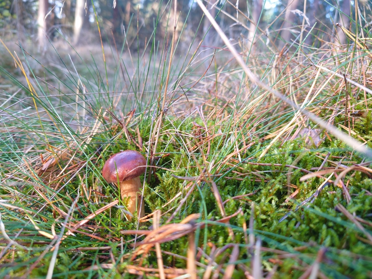 b4ffdeaa-c5e3-489e-ade4-884dfac29915