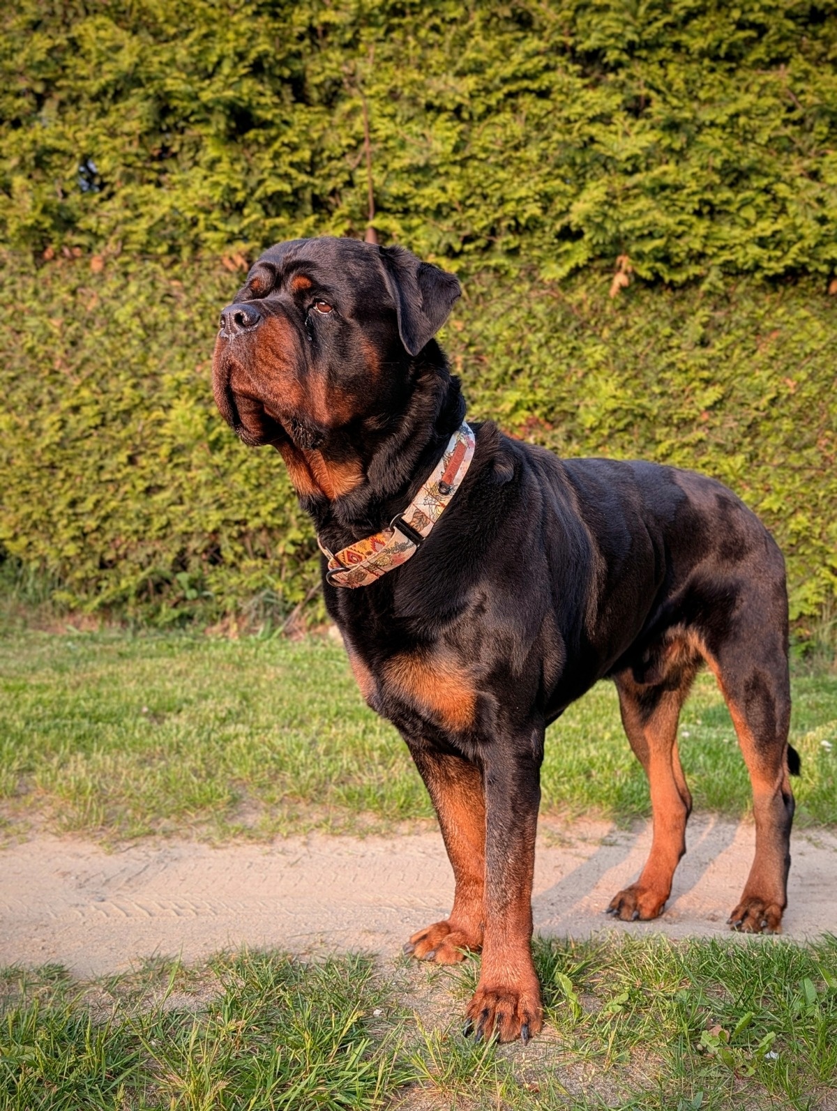 41ecbc26-2331-4a0c-be03-5a852e4555af