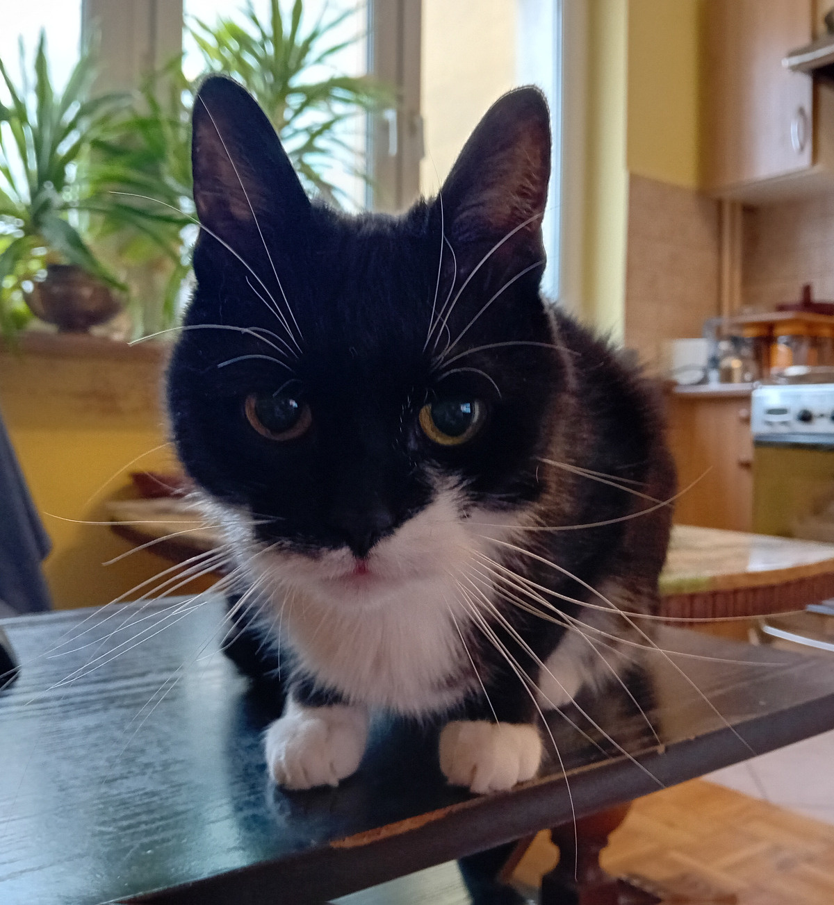 d2b3f39d-439c-4dc2-8180-65fd81c424b0