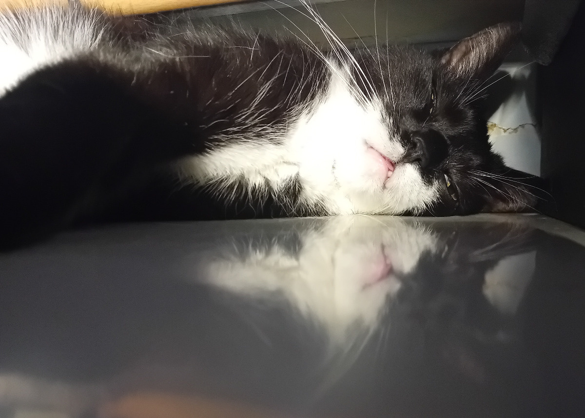 bc9e8e61-ce7e-4e97-8142-f00b11cc2719