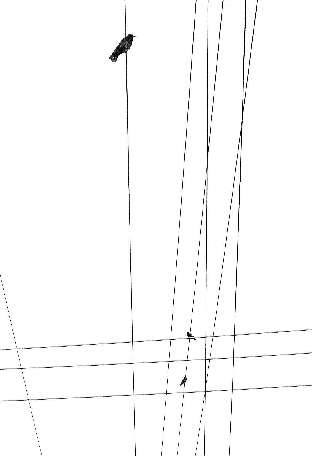 353eb497-7129-4270-944d-66e948b615fd