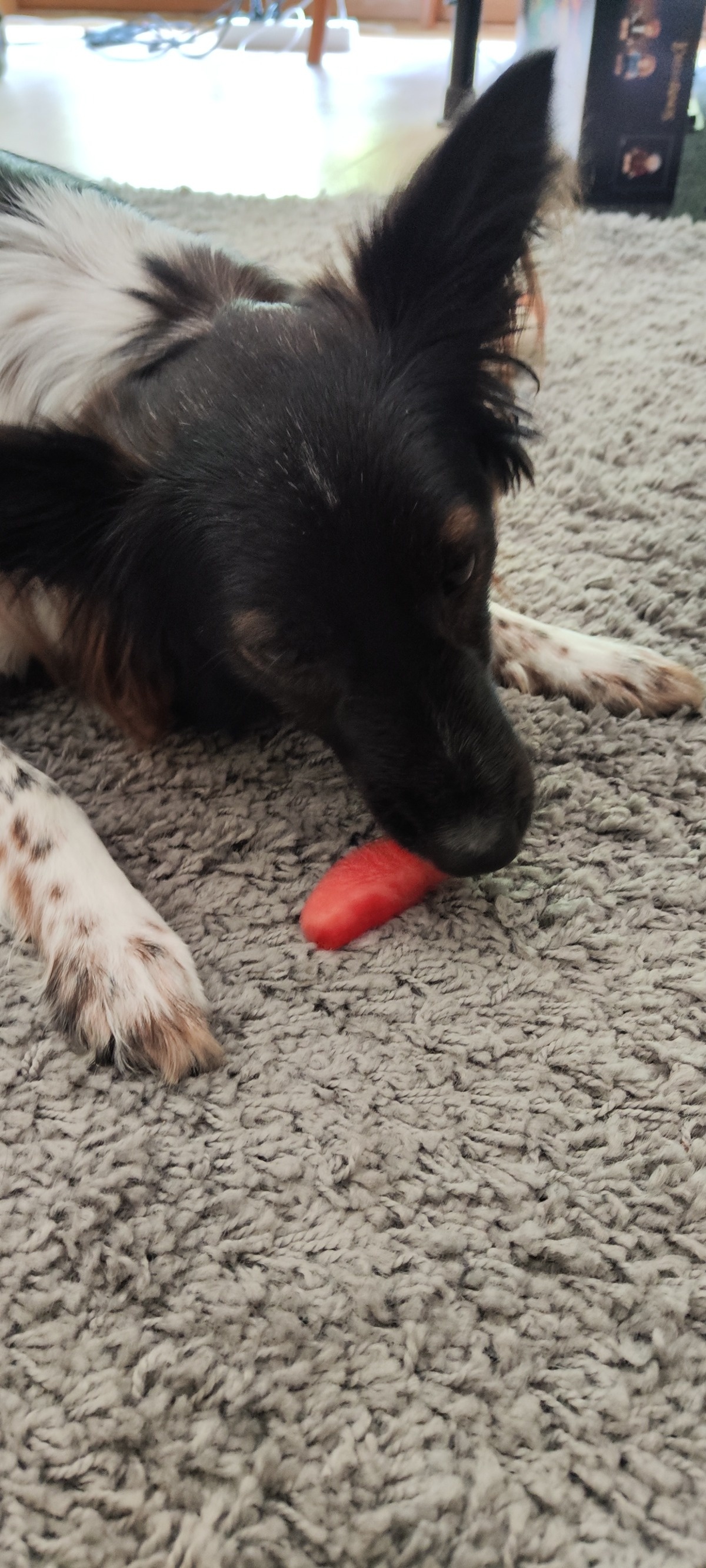 230f4e00-cedf-41a9-aa1f-080668682395