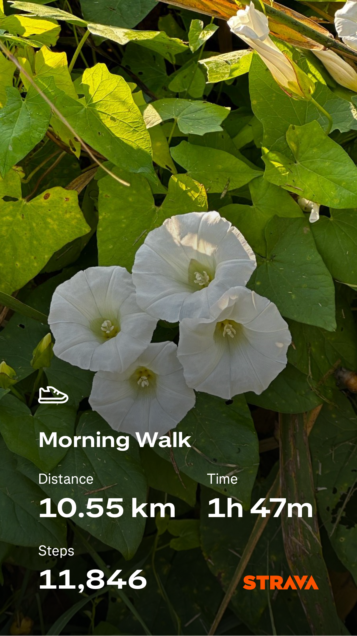 47ff4531-c49f-4a18-a7f4-5221210df3ad