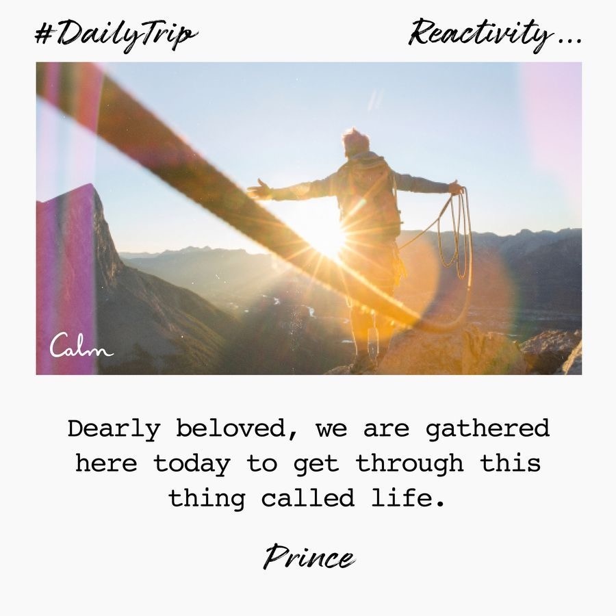 448d7b36-f37b-4754-a69a-c10c5c3ea537