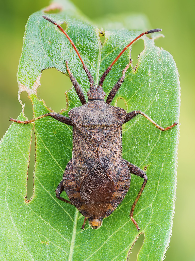 04ecba2b-7062-4aba-b241-c5914d7d2a61