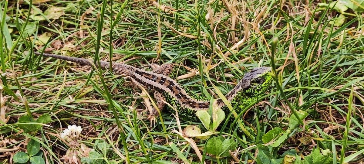 668e90fc-c646-42d5-9578-9290a2eaee50