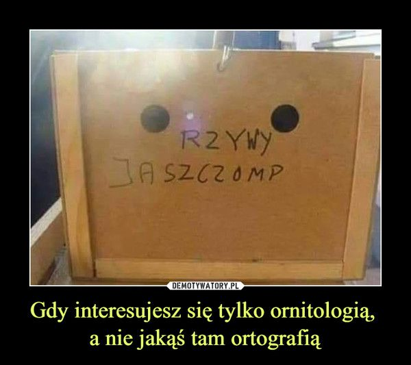 e85b0b4e-9d77-4bb6-88e0-ef7a9b2b5fc2