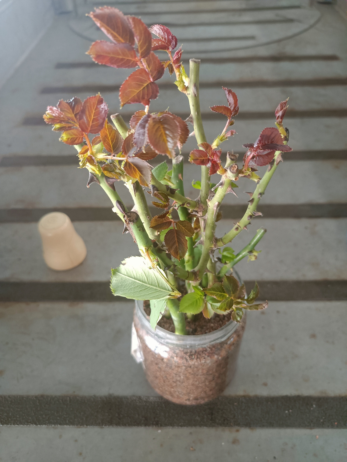 e28cae2e-cc54-472a-954d-2a2b26c1a9c2