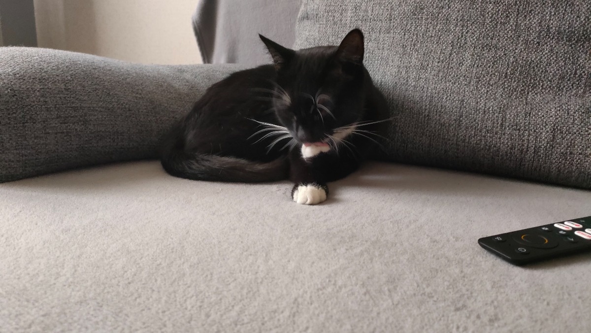 11148880-8d8f-4beb-991a-5dc9e6414602