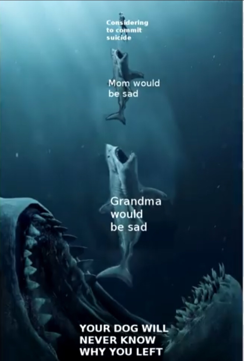 bf86bc98-7a3f-4d0b-95e5-4796d22a48b3