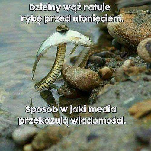 b992cf8a-557c-4036-b683-55b2849928b4