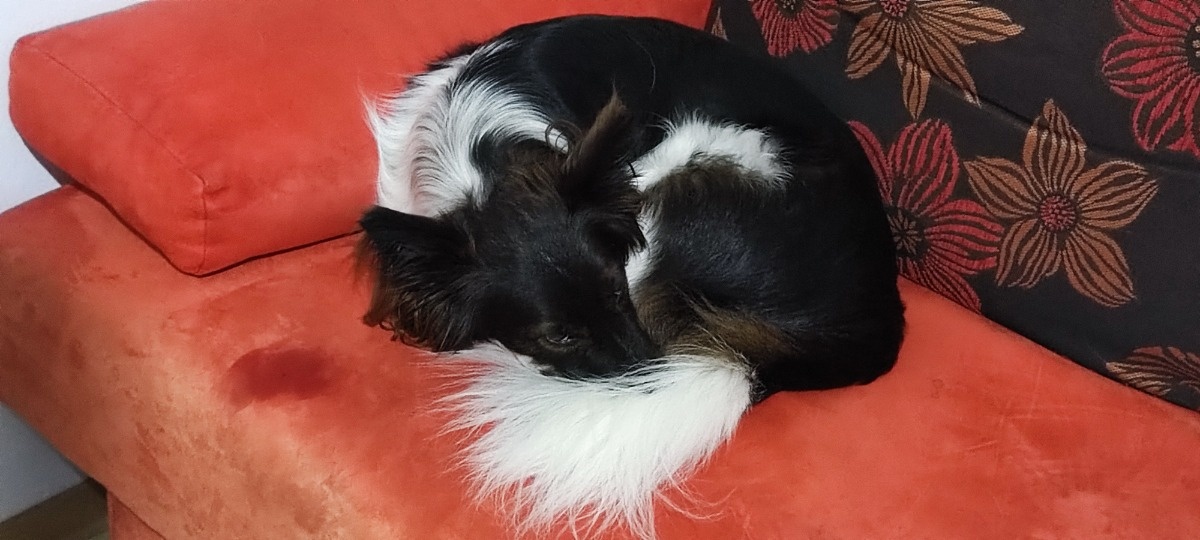 0ac642bb-b3fd-4440-aa66-21cef496e4b9