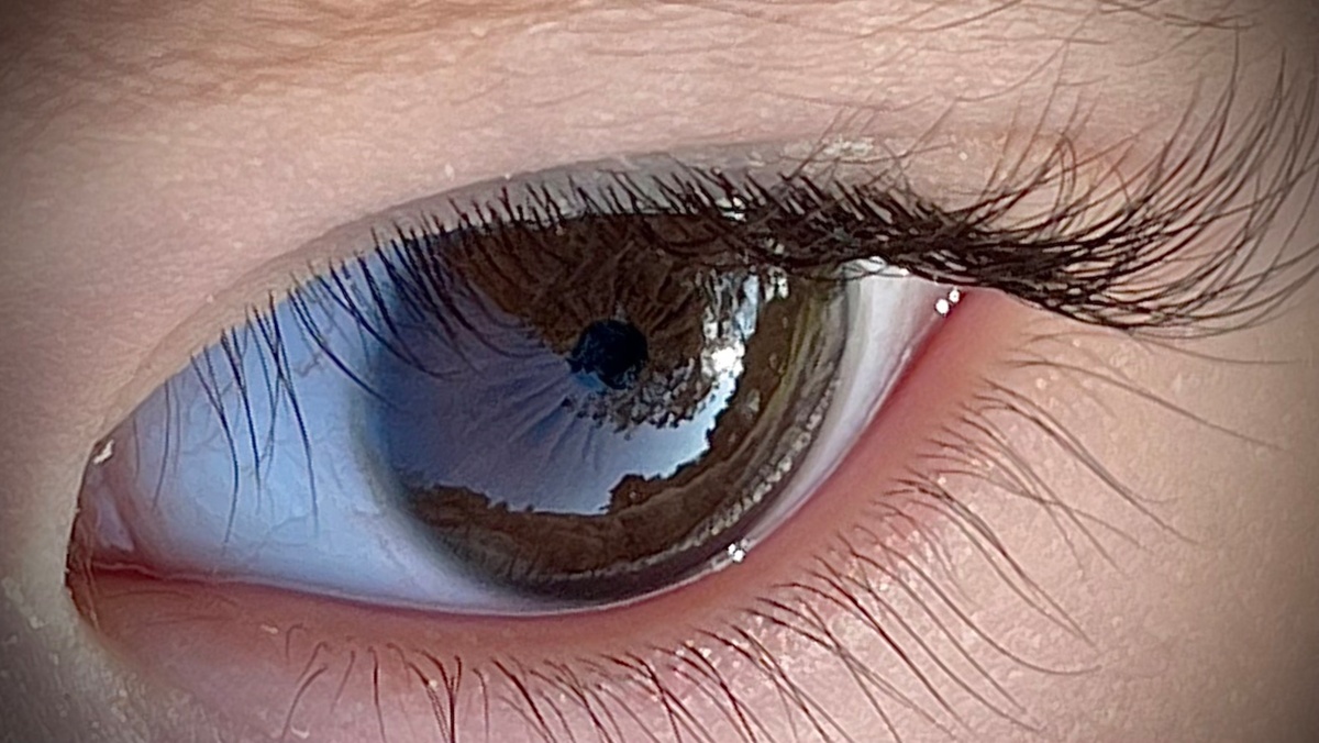 9cd28aed-2360-4a70-a6cd-8ab0c2a55c99