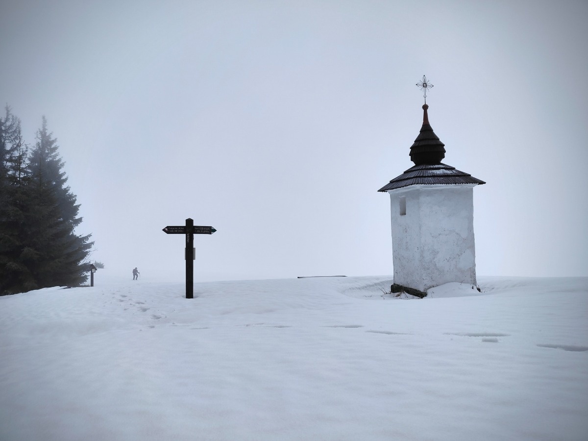 83e3a51f-3fce-4df4-ac7e-2aebee3f7c37