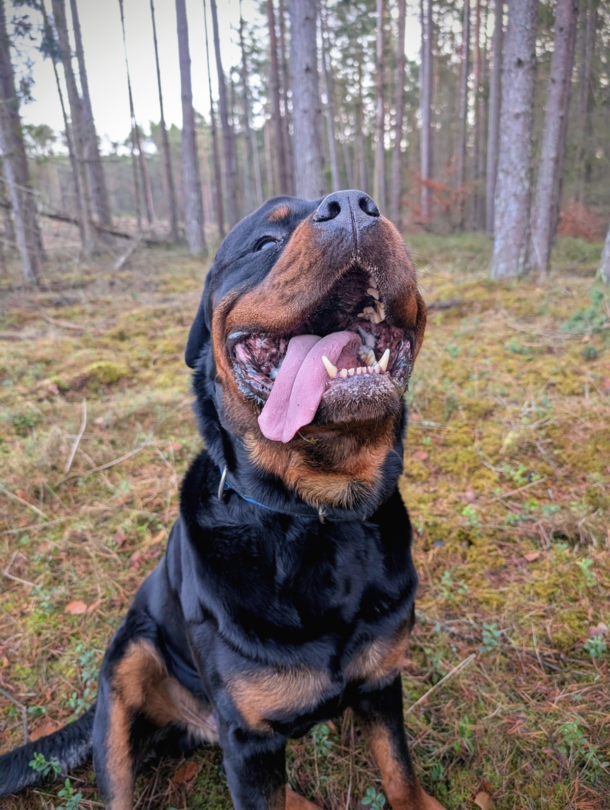 8d51f9d2-1644-4eb9-8c4e-f2d7f08b9ef5