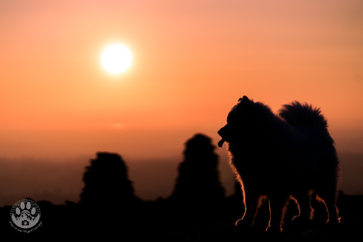 3ac7a239-53d6-4a84-880c-23727213da7f