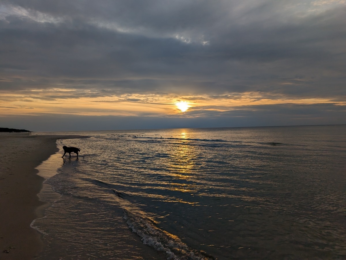 0a31c3aa-894f-4c1d-82cf-0689f92580c2