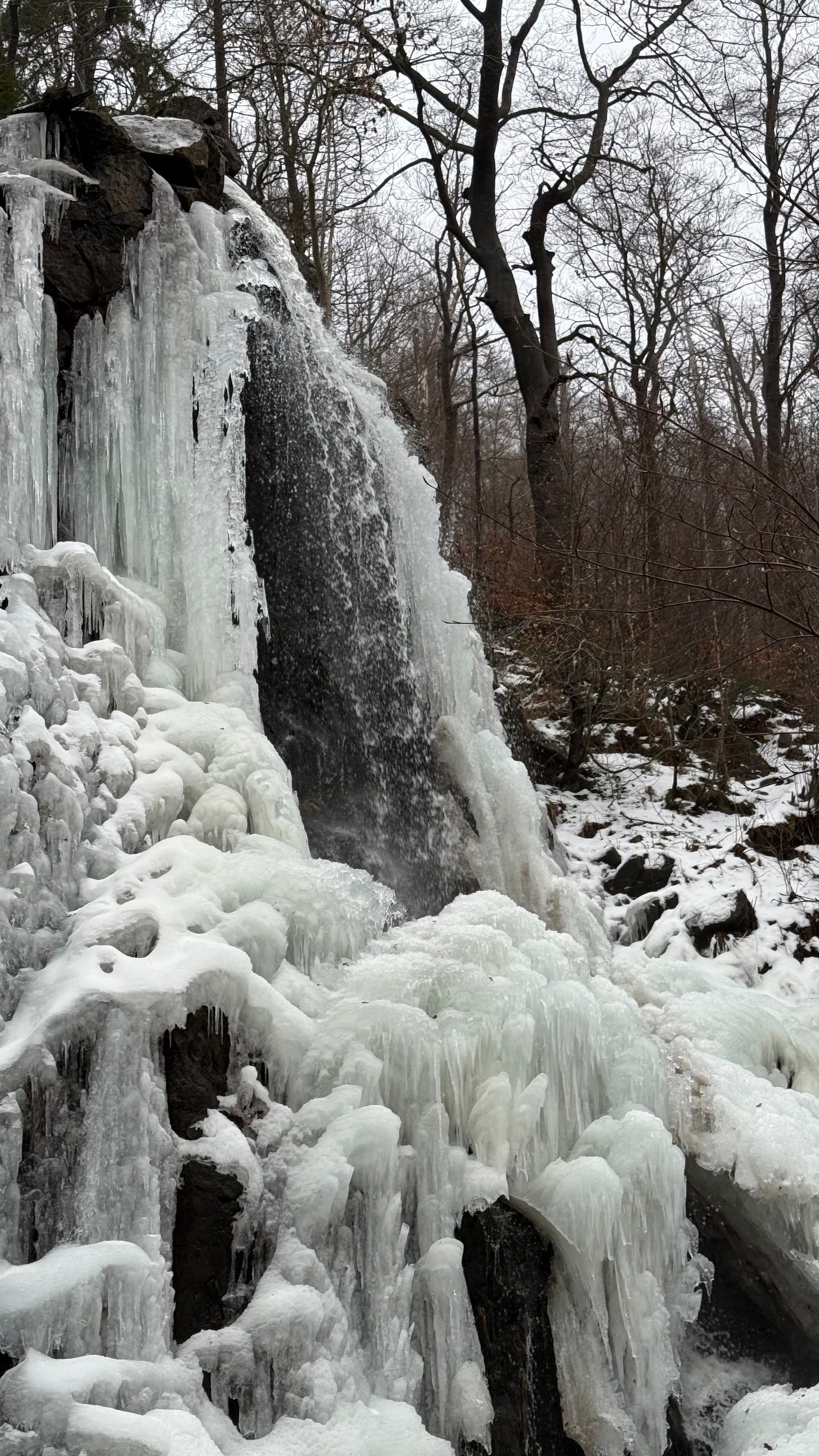 66b18a93-c021-4e60-ada4-ddf2a51918e4