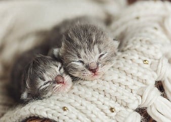 84ec5f73-29b2-4d4b-b4c8-81677bf15dbb