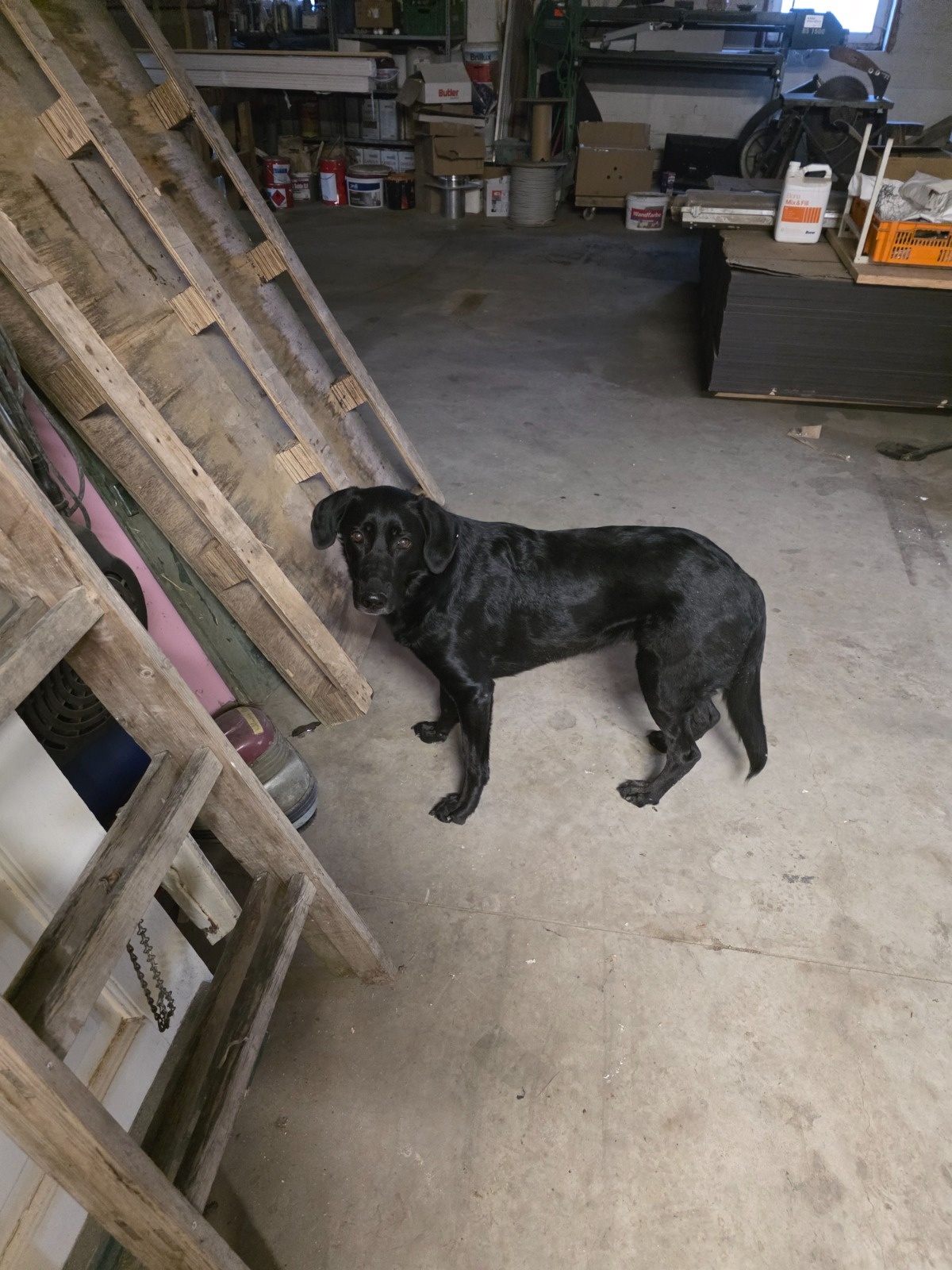 5c56a119-7187-4b8f-8ba8-8cf7adf536c7