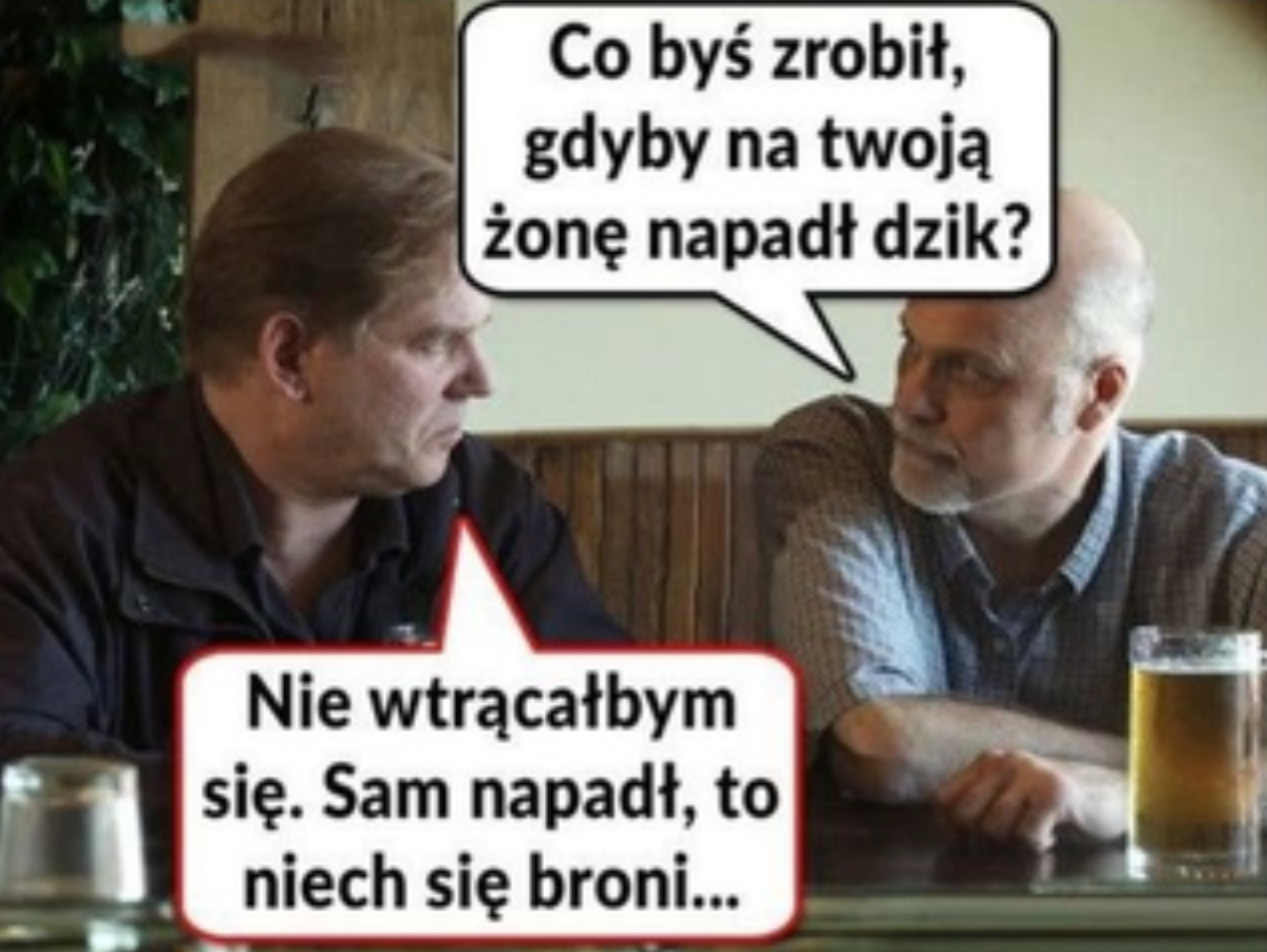 e05df50f-c2cf-47c3-b092-349bdaa81f9e