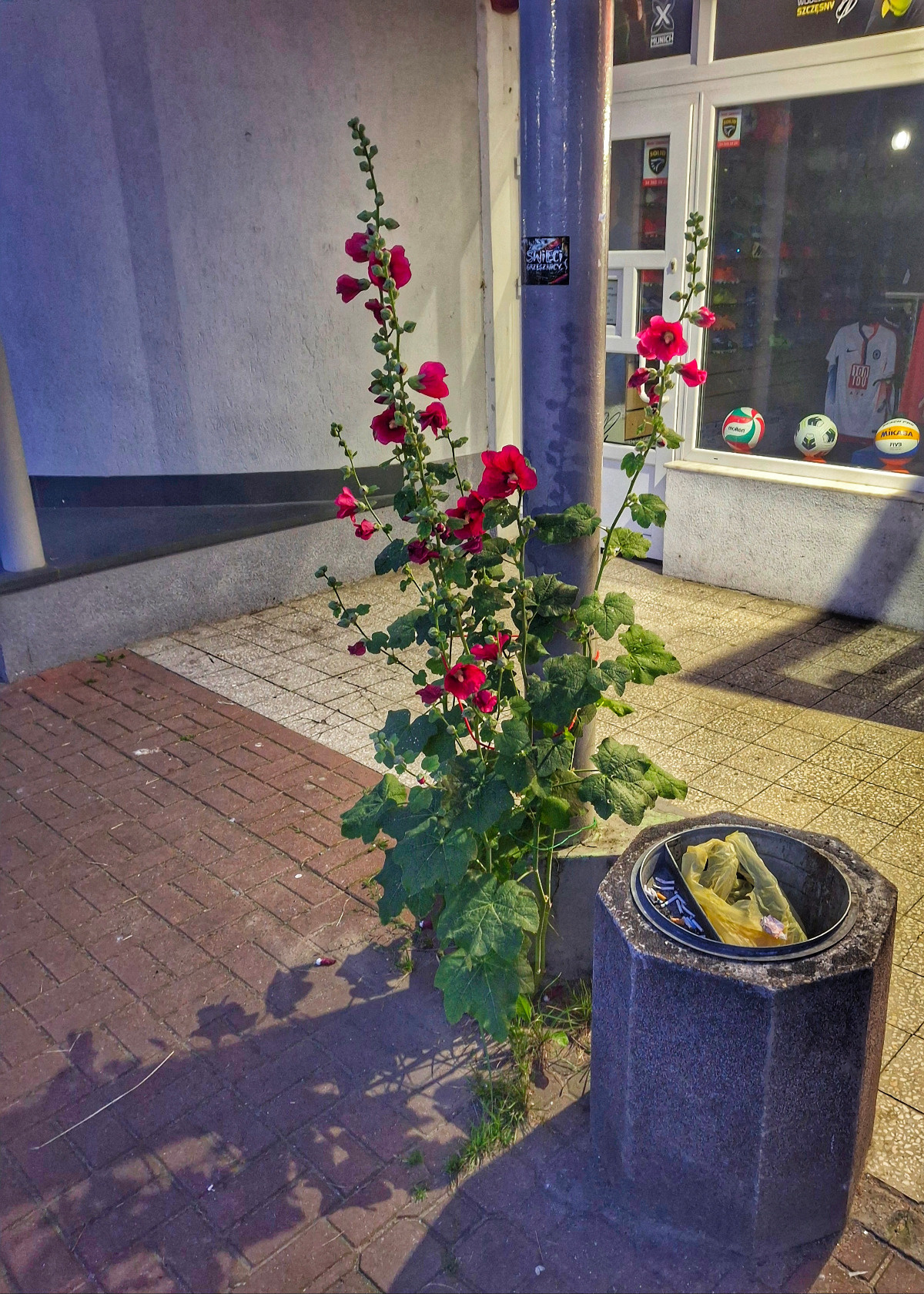 1b7f9ff1-783b-4512-9823-c7c5da7a4cbe