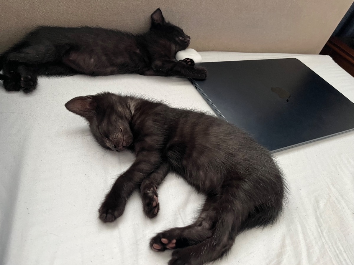 aa6229d8-026e-4685-9d22-1986f8e75514