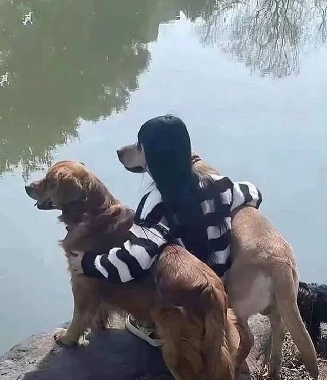 a58abdbf-7a53-4973-b81b-5c9364bf6a85