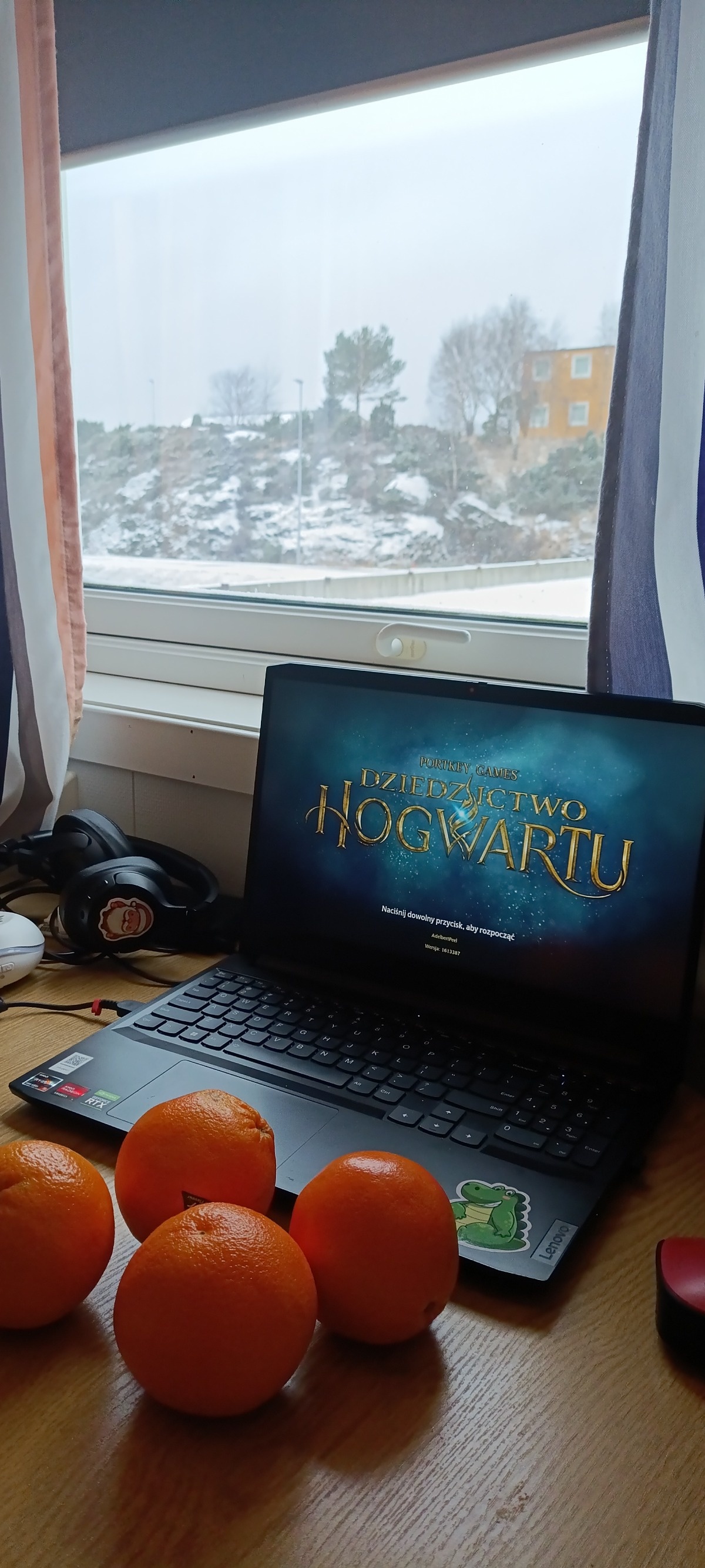 d51615f5-363e-485e-a1d4-8360b478f08e