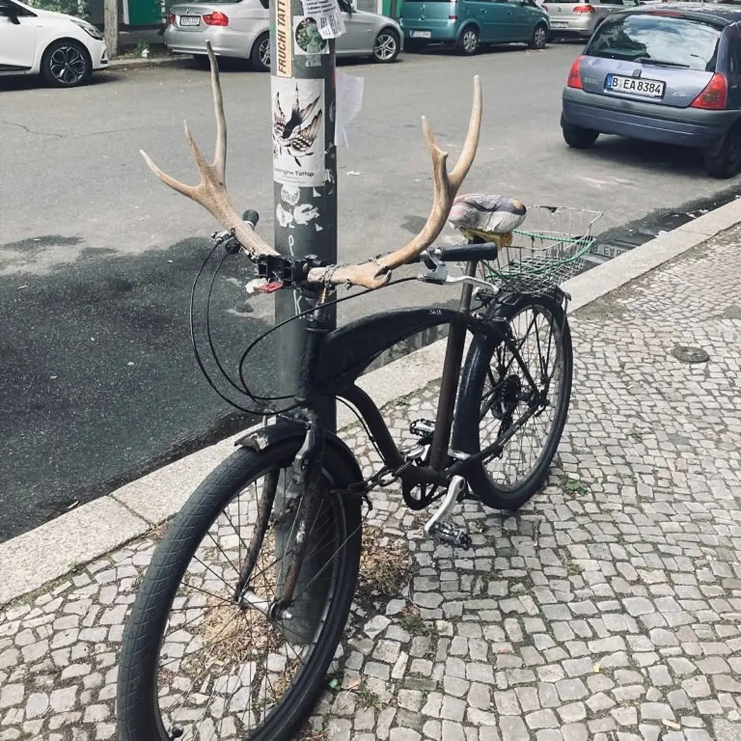 2b4ce299-1c45-4cdc-bcab-dfff5f58fca9