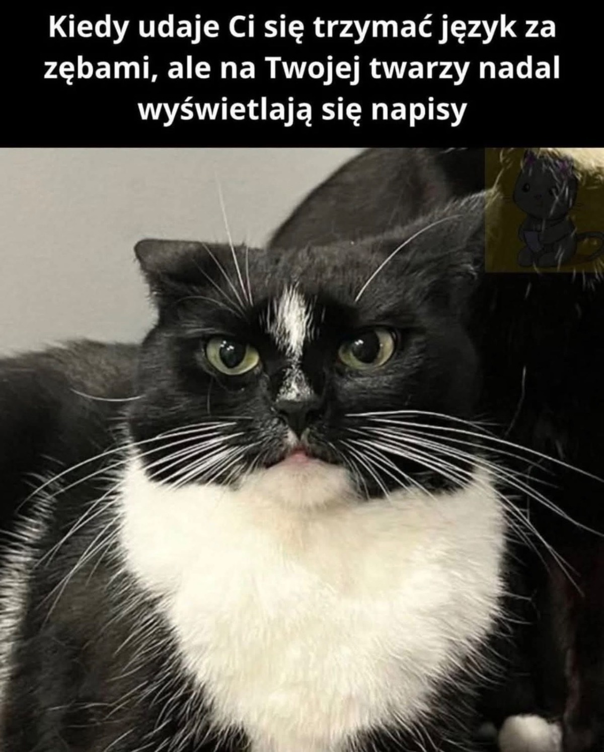 bf31813b-81df-4f3e-891c-571bc5652ffa