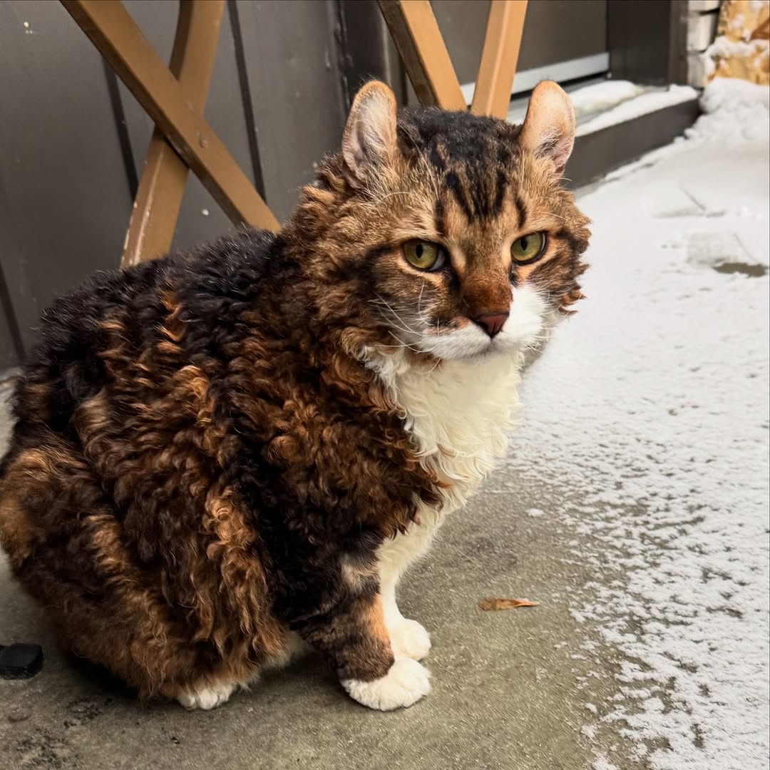 0ee3ae53-18b5-4a2f-b958-32ab55f68b9e