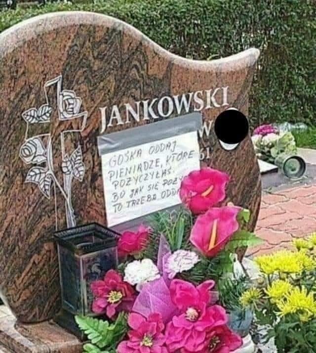 cb8f3494-12e5-4f02-9b6b-c7c08482a600