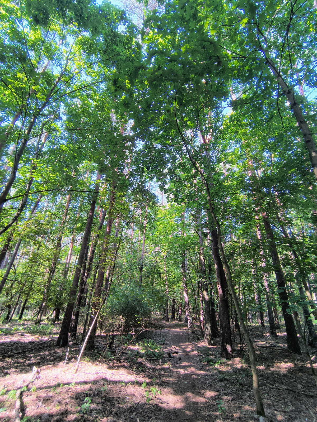 68c495ef-884b-446c-8652-76d72f651557