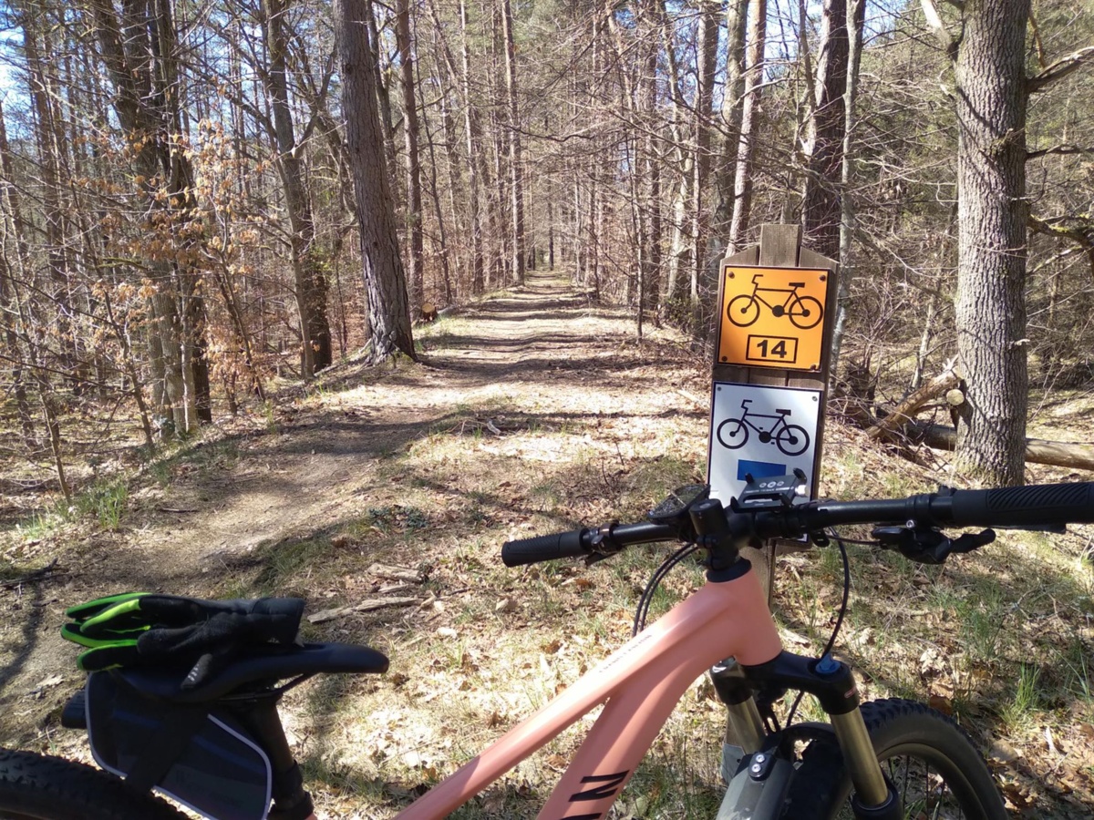 0e89ee2c-dbc4-453b-9603-d54f6362c171