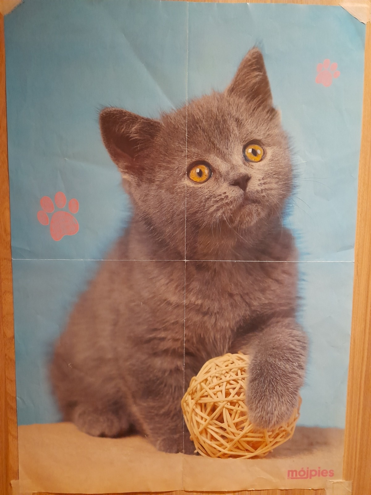 8b551a67-f18d-449c-b17f-b036603fda5d