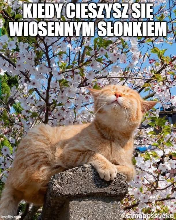 913c3773-3be7-4e06-a243-f501247b8f7d