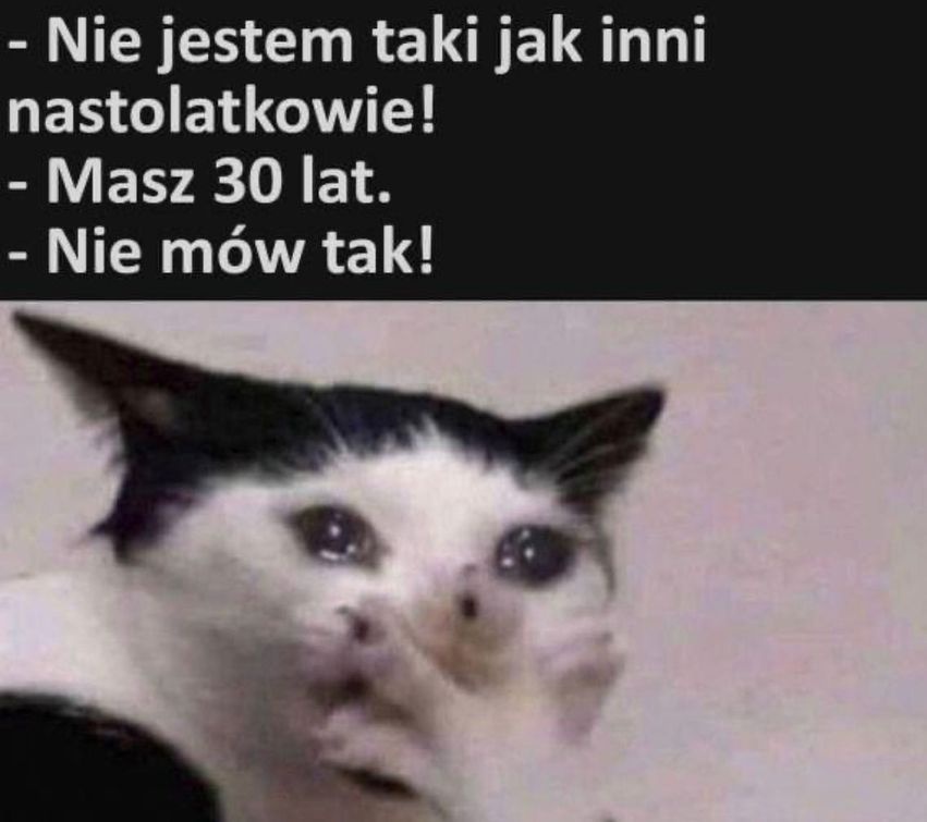 37b85f71-ed8f-4a27-a29f-d01ce8b734d2