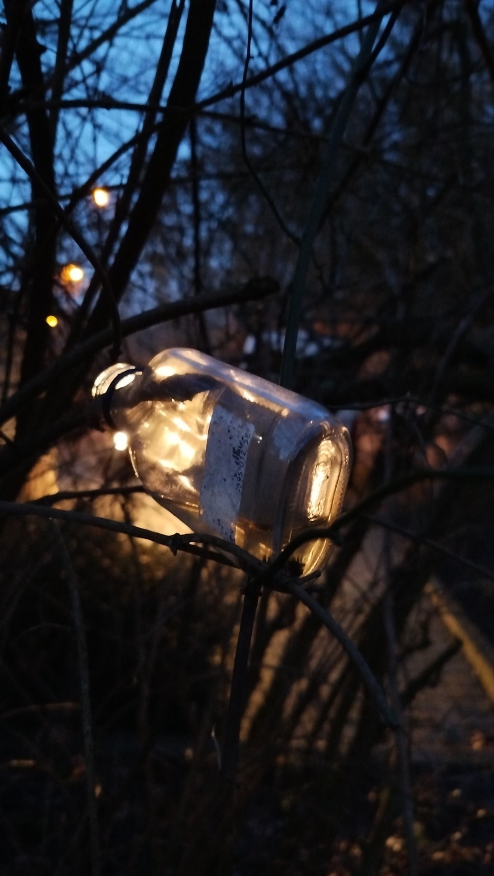 3235100a-0167-4f66-931c-2f4ee40da91a