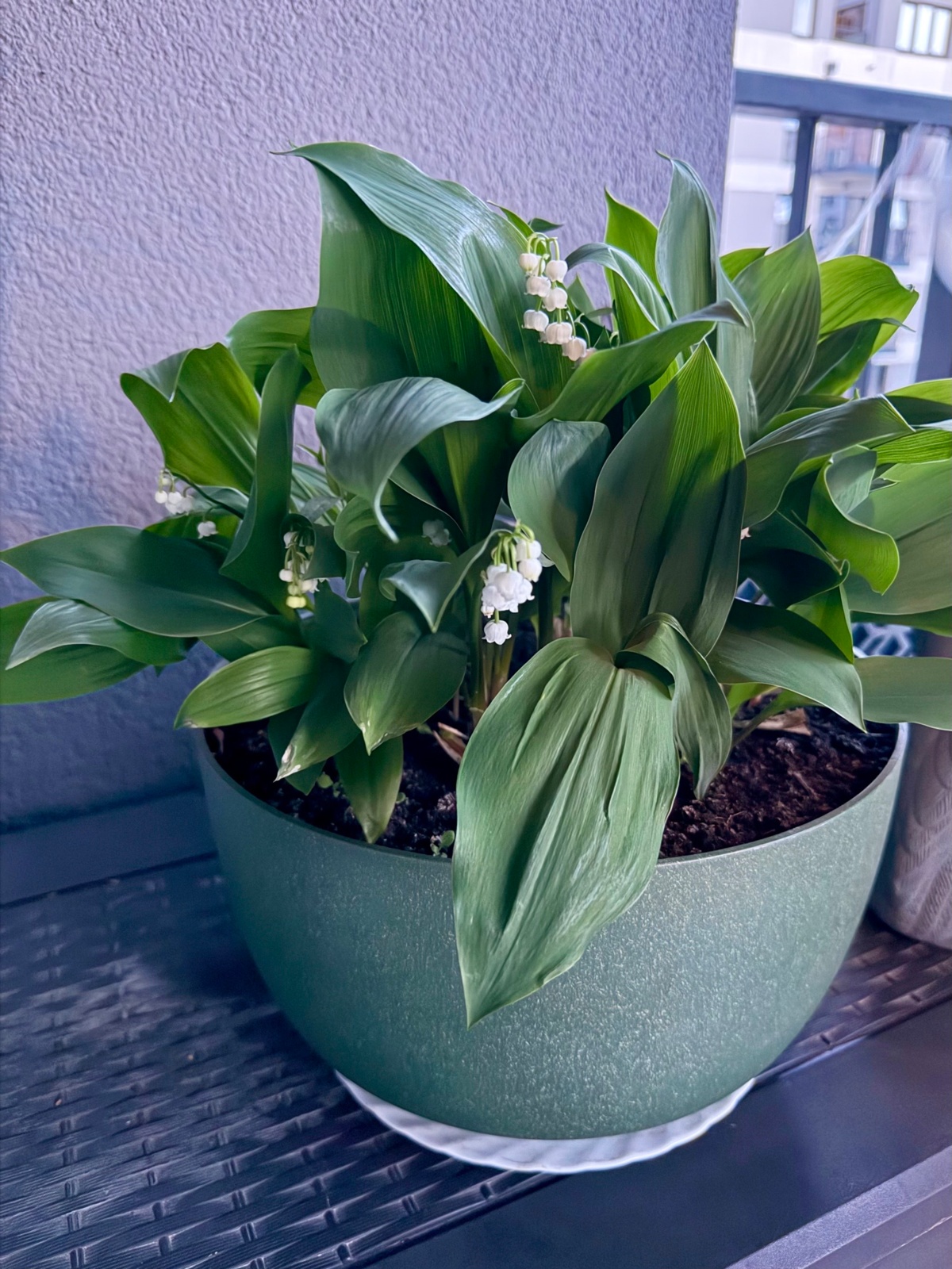 b120e262-7d25-48fb-9b04-7878fe9fffb6