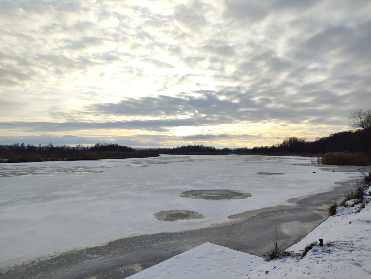 c1f21dc7-be10-40d6-a6cb-42a56bce9a04