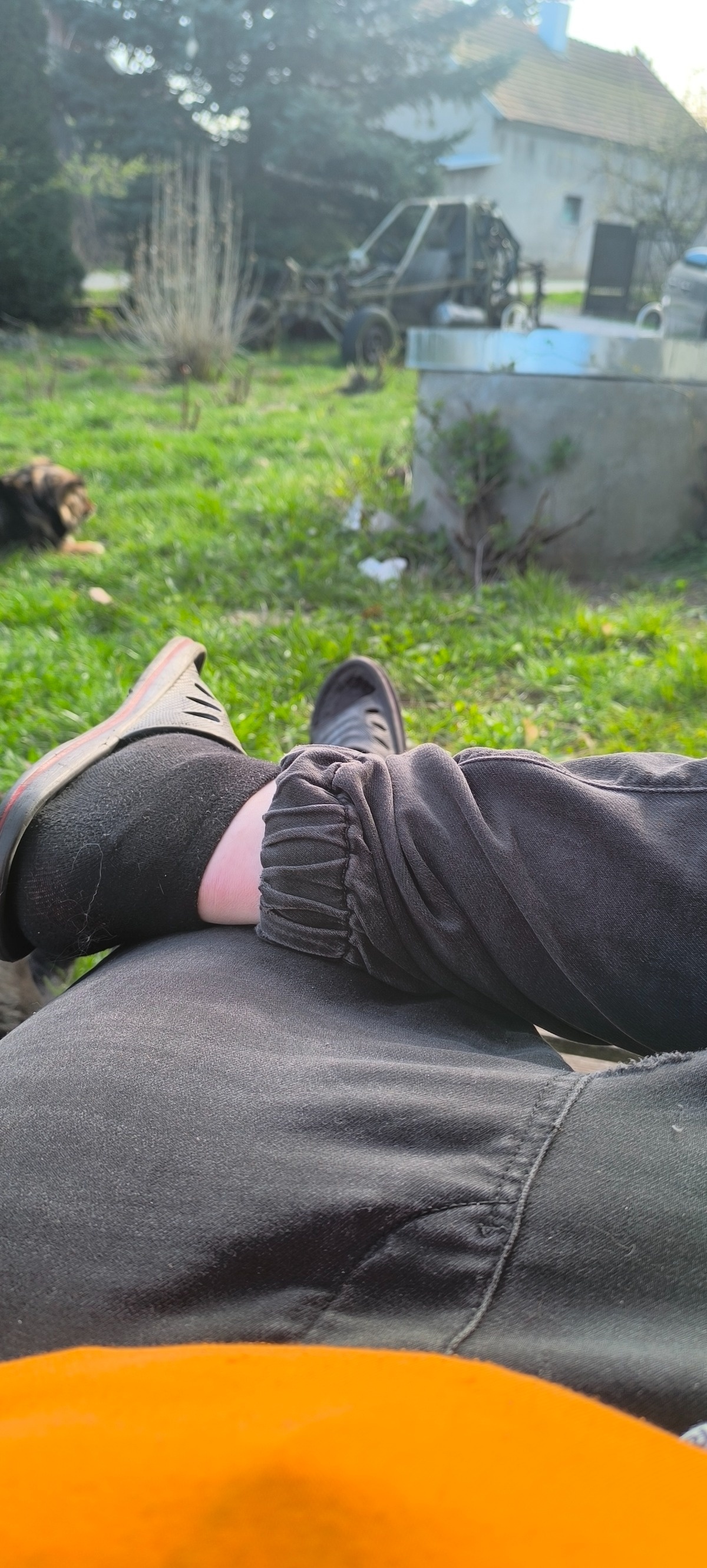 a62a3493-57ad-4589-8e9f-56e218698eec