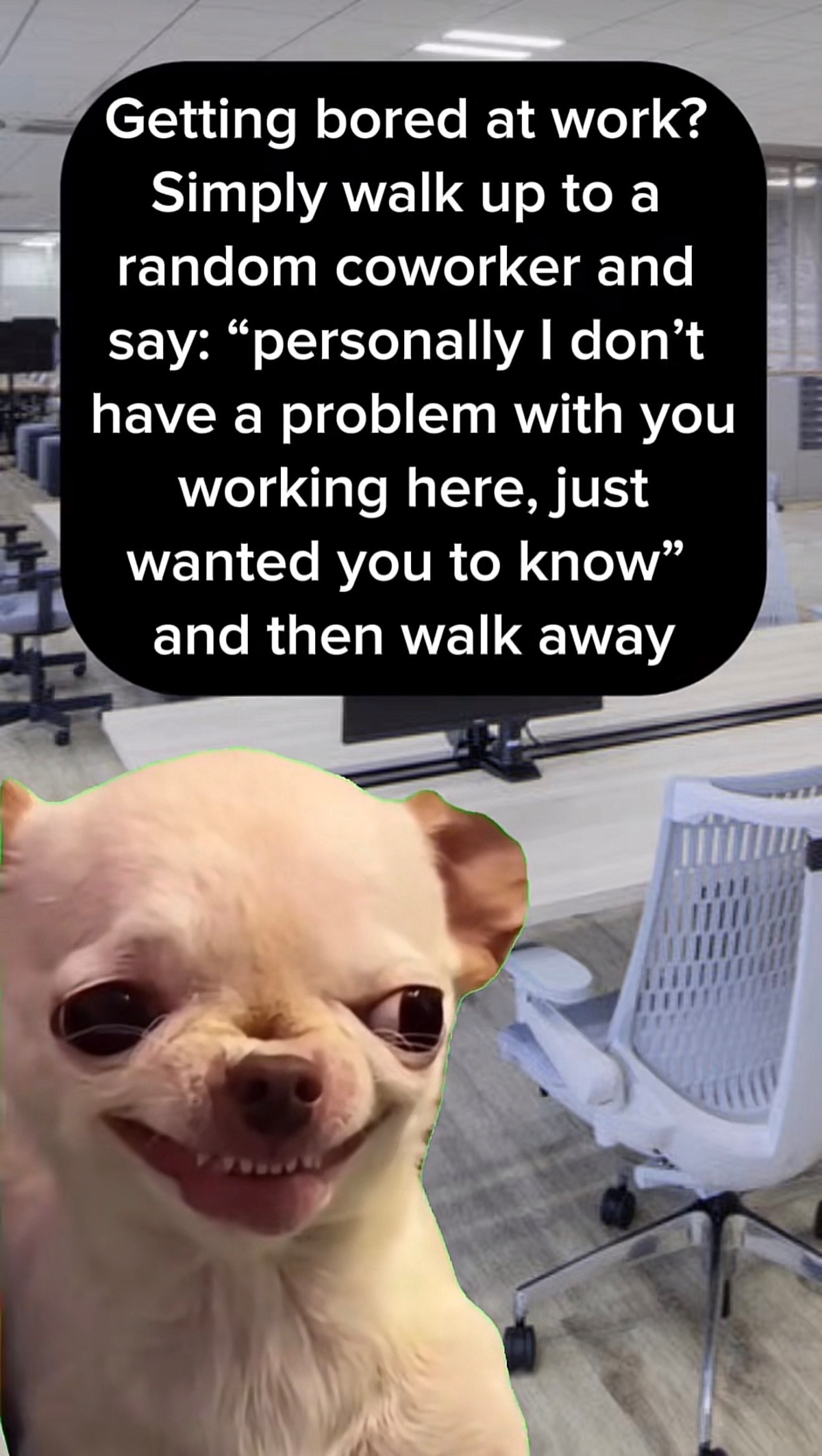 3e09f2e4-4623-460c-afeb-511c0405a8b5