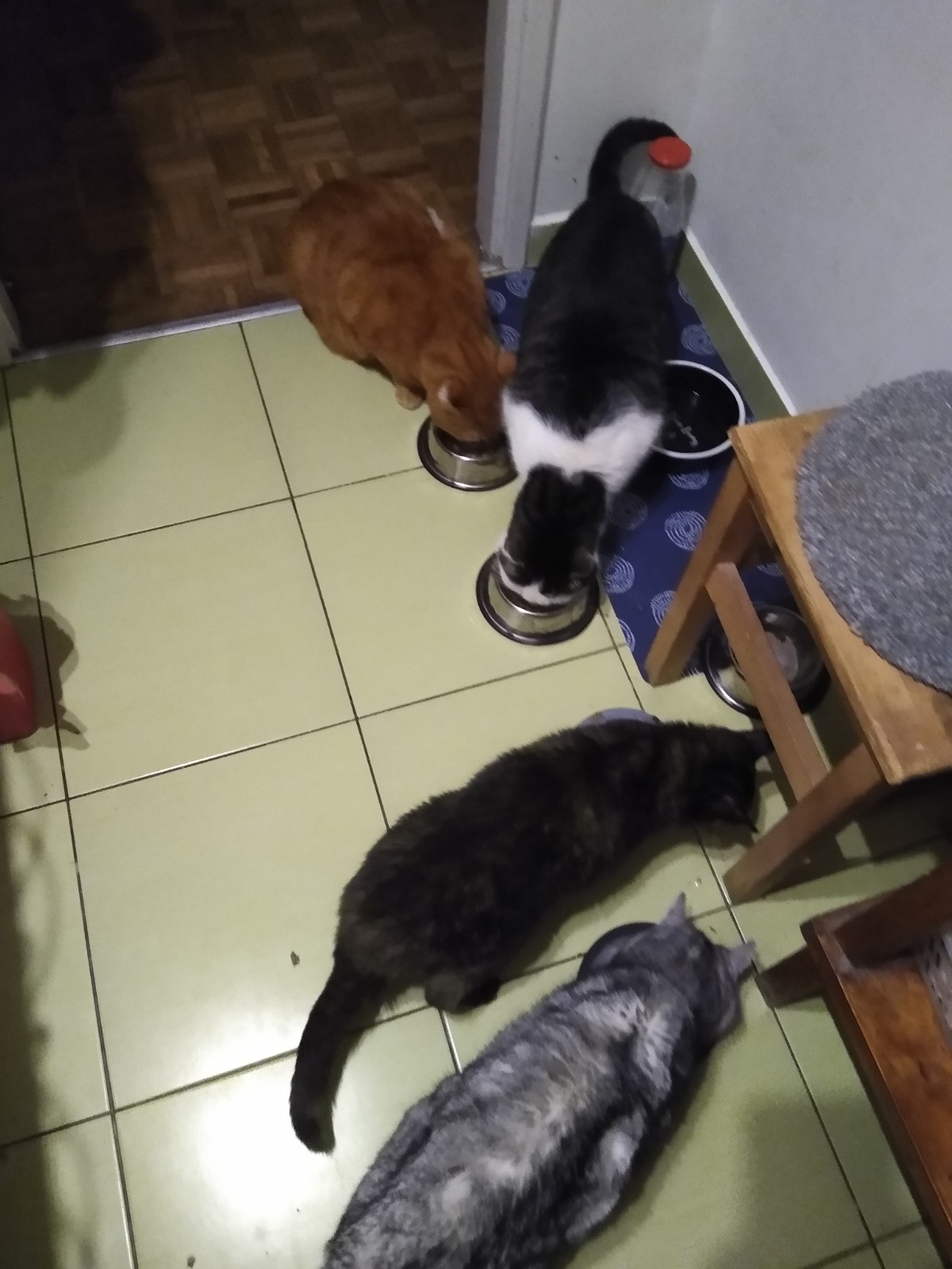 96c36b53-59ae-4663-ba14-efc642114b48